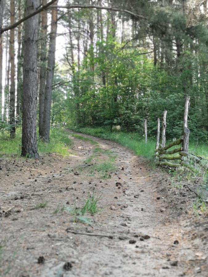 Гостьовий будинок Polne Zacisze Lgin Екстер'єр фото