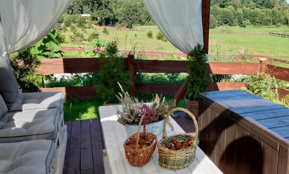 Гостьовий будинок Polne Zacisze Lgin Екстер'єр фото
